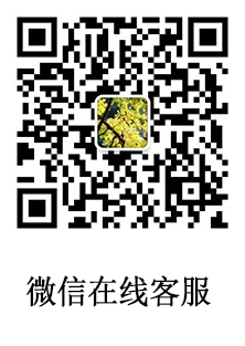 莱克斯公司地址
